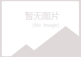 翠峦区女孩出版有限公司